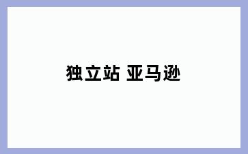独立站 亚马逊